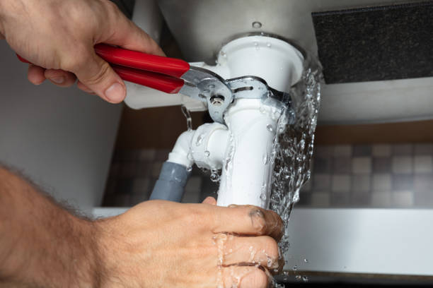 Best Local water damage restoration  in Cathcart, WA