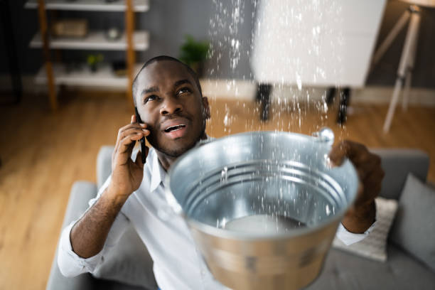 Best Basement water damage restoration  in Cathcart, WA
