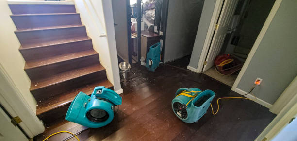 Best Fire Damage Restoration  in Cathcart, WA