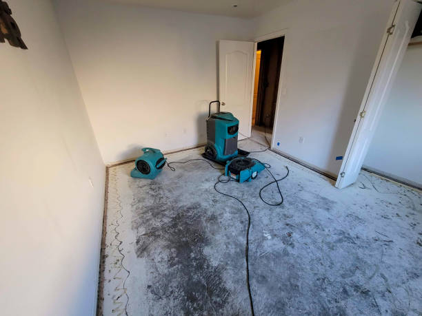 Best Emergency water extraction  in Cathcart, WA