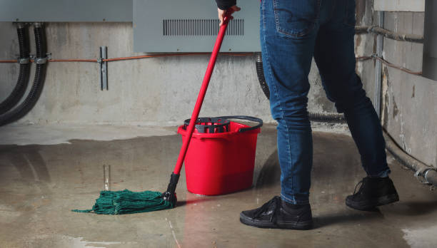 Best Professional water damage repair  in Cathcart, WA