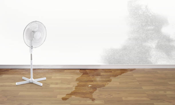 Trusted Cathcart, WA Water damage restoration Experts