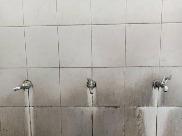 Best Water damage cleanup near me  in Cathcart, WA