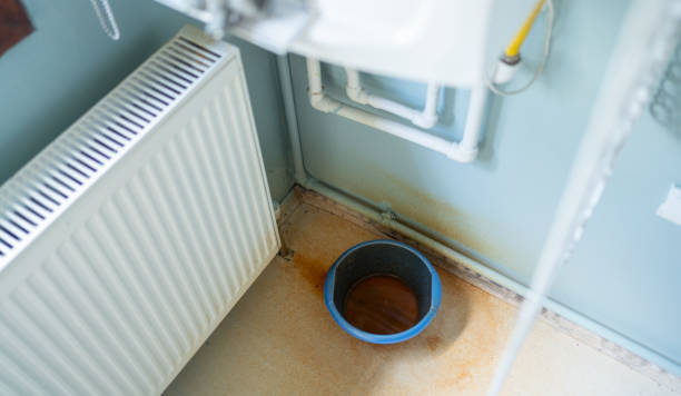  Cathcart, WA Water damage restoration Pros